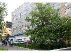 БЦ "Семеновская площадь"